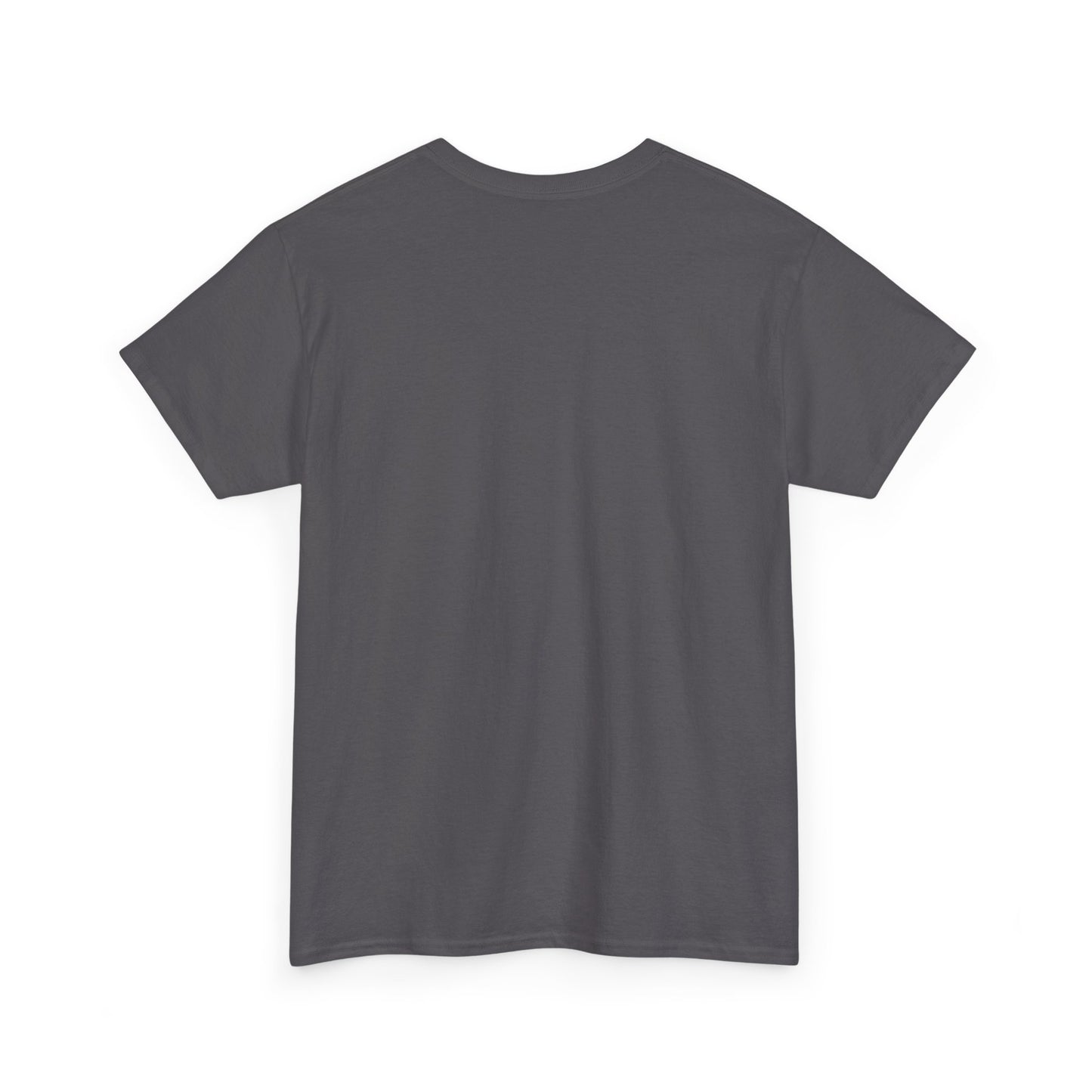 That Sounds Gay I'm In T-Shirt | Rainbow Cat Pride Tee